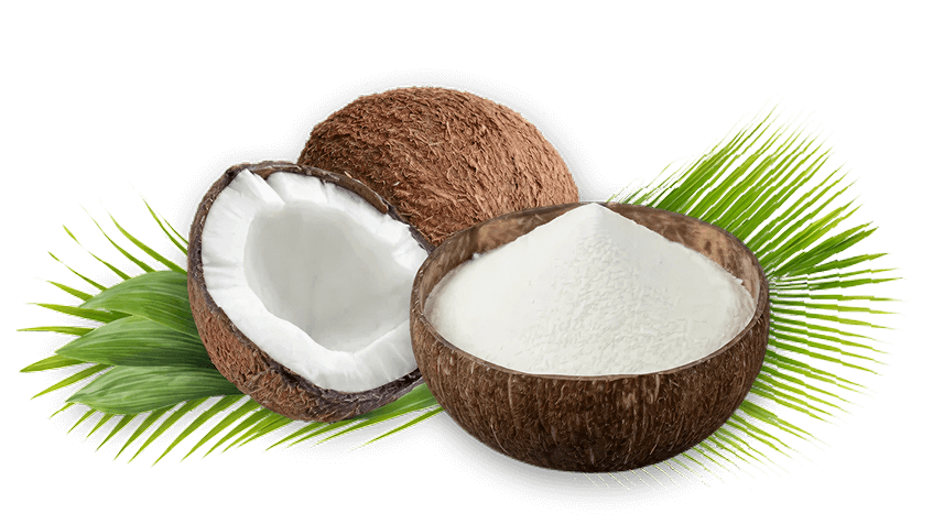 Coconut Powder